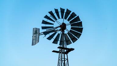 Prickly Pear Windmill