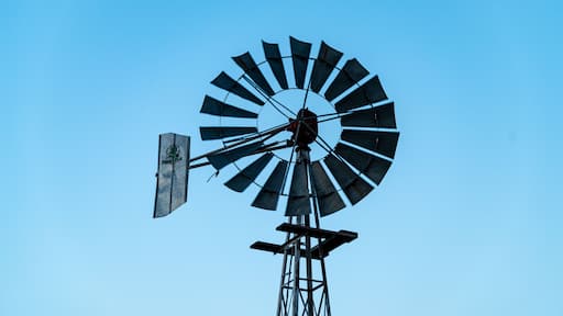 Prickly Pear Windmill