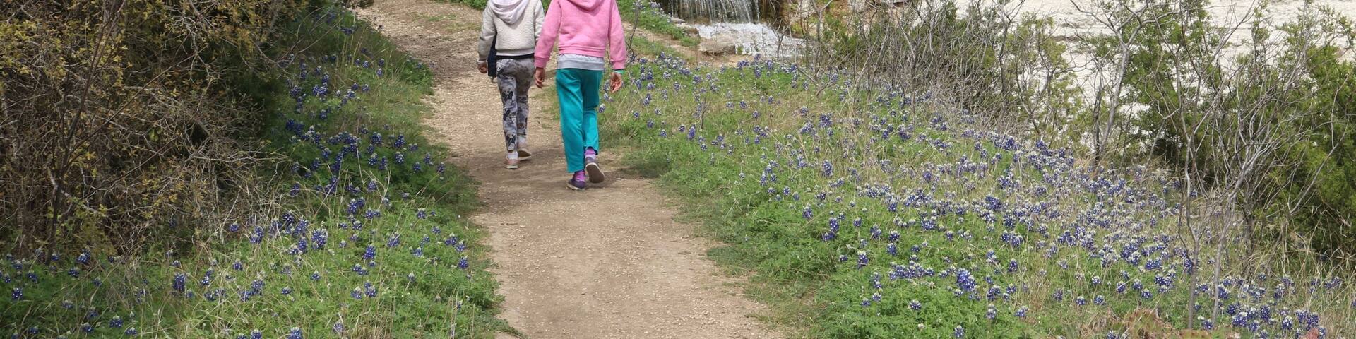 A dirt path flanked by bluebonnet flowers and sparse vegetation, leading to a rocky hillside with sparse trees.