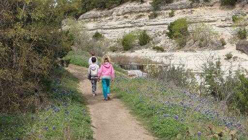 A dirt path flanked by bluebonnet flowers and sparse vegetation, leading to a rocky hillside with sparse trees.