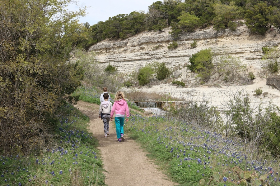 Un sentier de terre bordé de fleurs de lupin bleu et d’une végétation clairsemée, qui mène à un versant rocheux parsemé de quelques arbres.