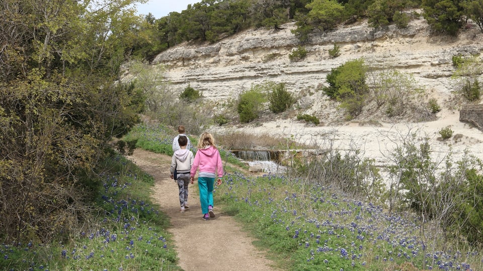 A dirt path flanked by bluebonnet flowers and sparse vegetation, leading to a rocky hillside with sparse trees.