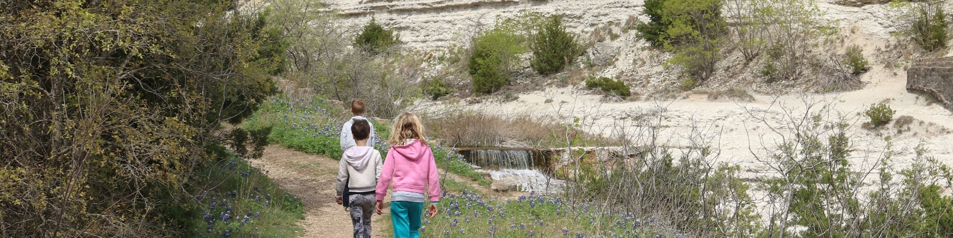 Un sendero de tierra flanqueado por flores de lupino y vegetación escasa, que conduce a una ladera rocosa con árboles dispersos.