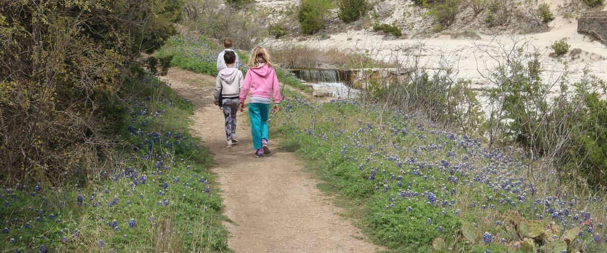 A dirt path flanked by bluebonnet flowers and sparse vegetation, leading to a rocky hillside with sparse trees.