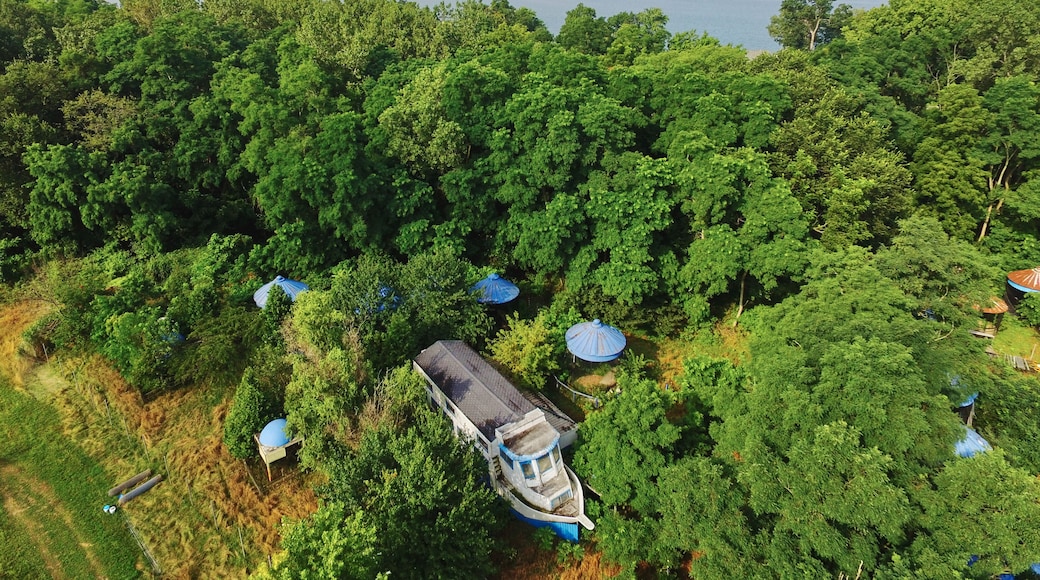 Aerial Secluded Forest Retreat by Water in Angola, Indiana