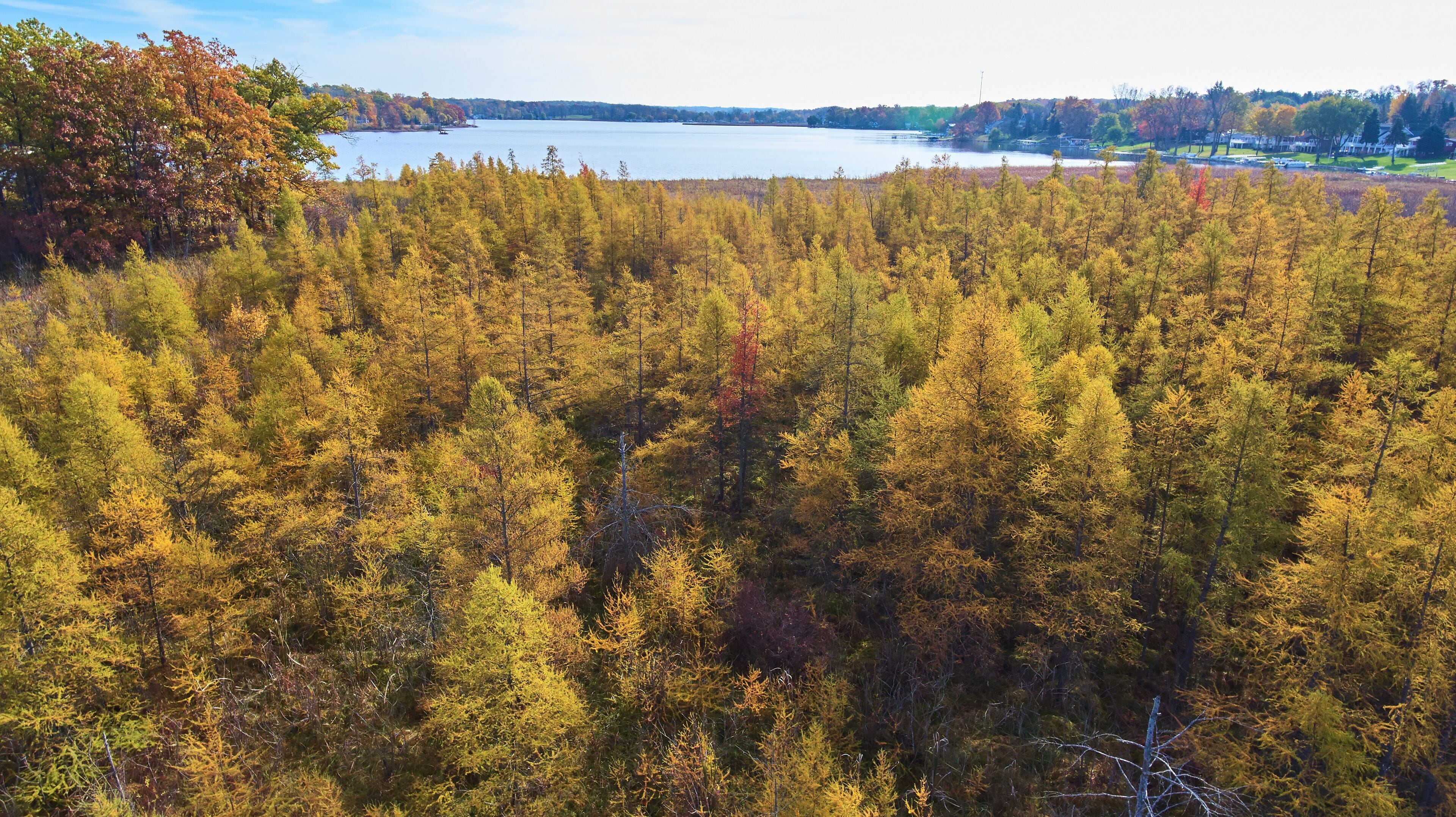 Aerial Autumn Forest and Lake Jimmerson Reflection, Indiana