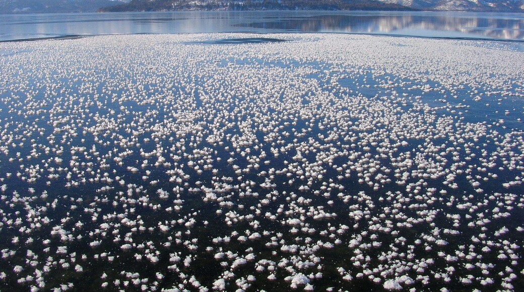霜の花(Frost Flower)