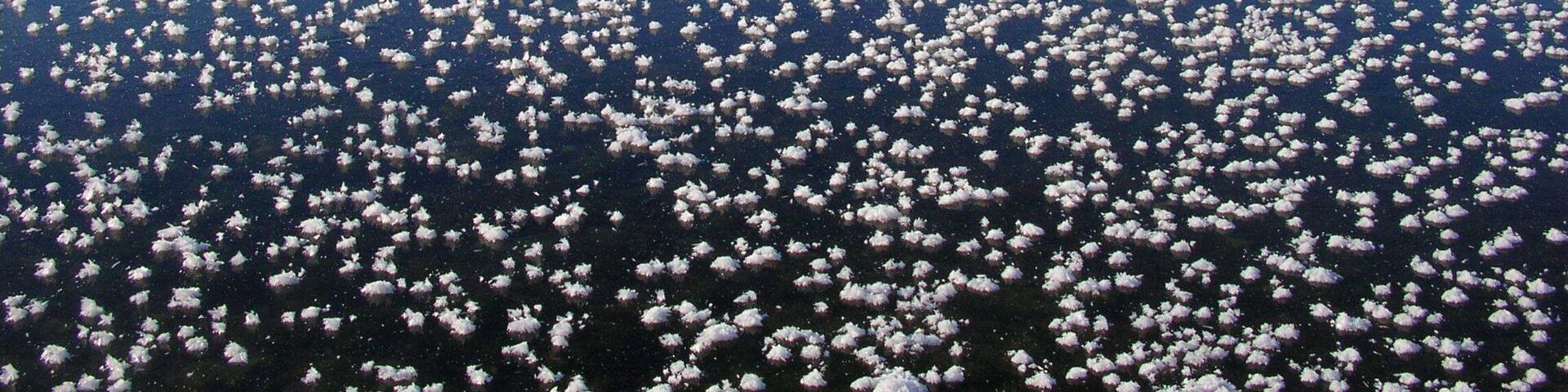 霜の花(Frost Flower)