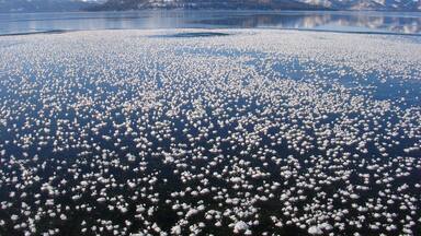 A frozen lake with numerous ice flowers and snow-covered mountains in the background.