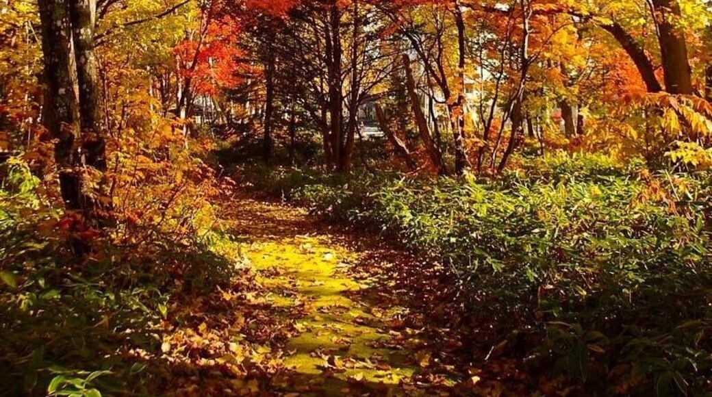 Autumn colours near Lake Machu, Hokkaido