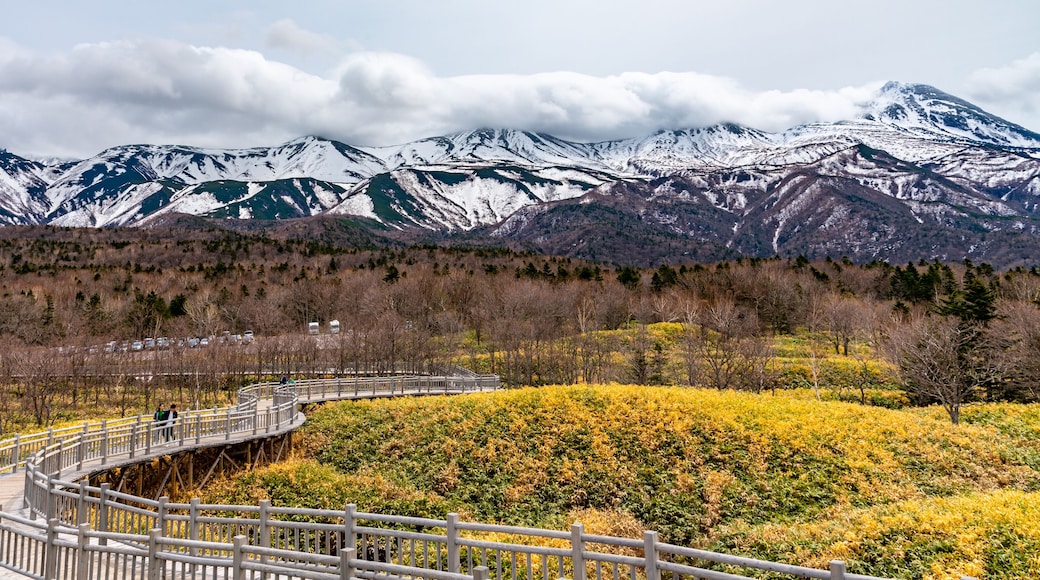 Shiretoko Goko Five Lakes in Shiretoko National Park. Rolling mountain range and wetland in high latitude country springtime. Tourists can walk on the elevated wooden boardwalk. Shari, Hokkaido, Japan