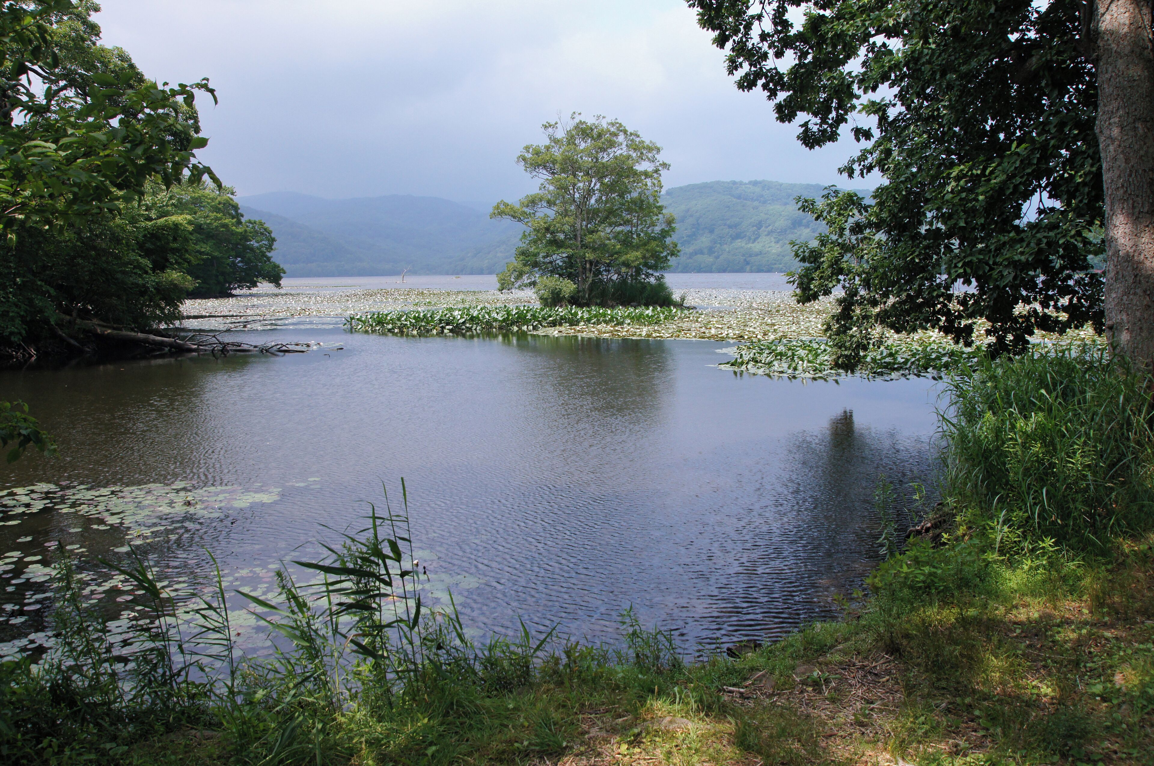 Konuma is the lake in Nanae, Hokkaido prefecture, Japan