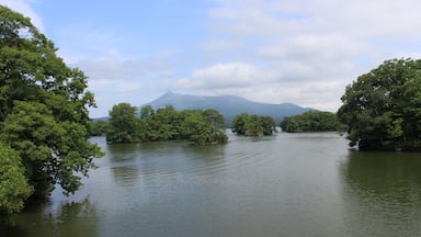 Un río rodeado de árboles verdes y una montaña al fondo.