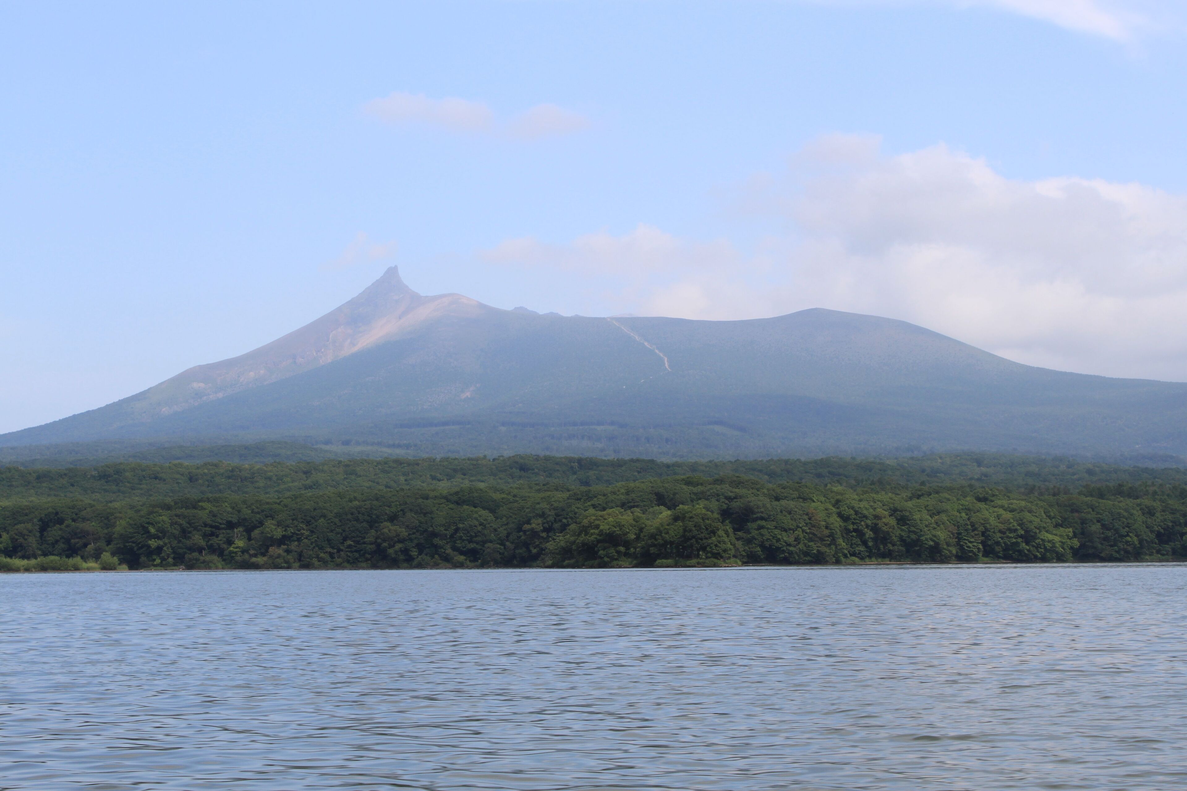 A mountain with a forested area in the foreground and a body of water in the foreground.