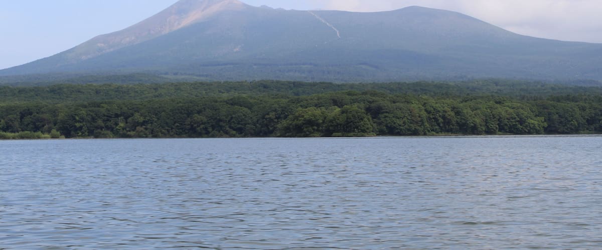 A mountain with a forested area in the foreground and a body of water in the foreground.