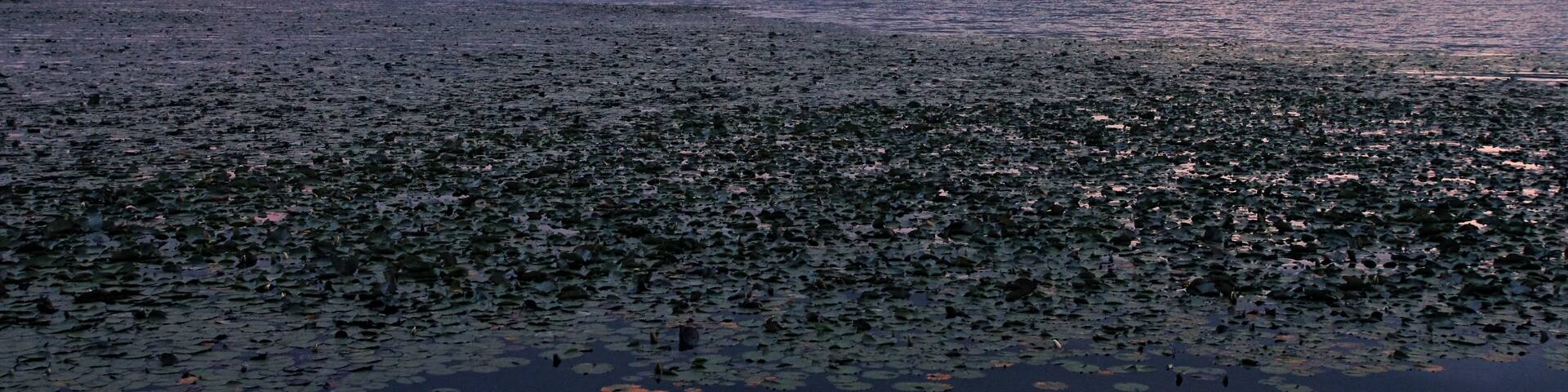 Konuma is the lake in Nanae, Hokkaido prefecture, Japan
