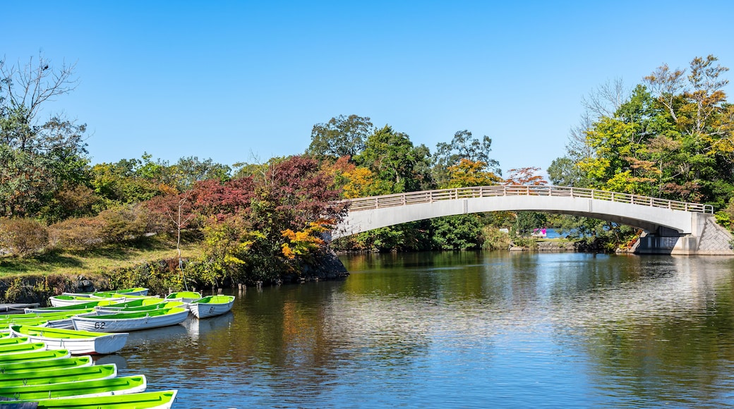 Onuma Quasi-National Park. Sunny day scenery landscape. Oshima Subprefecture, Town Nanae. Hokkaido, Japan