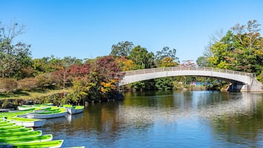 Onuma Quasi-National Park. Sunny day scenery landscape. Oshima Subprefecture, Town Nanae. Hokkaido, Japan