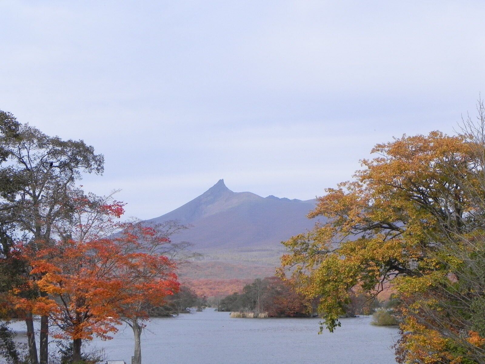 A mountain range with autumn foliage in the foreground and a lake.