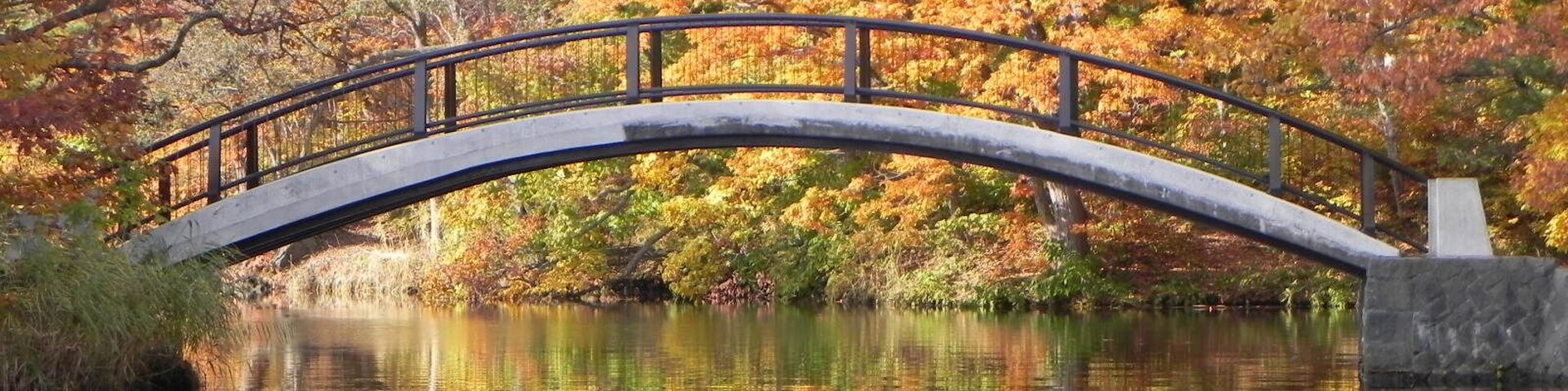 紅葉のアーチ橋(Arch Bridge)