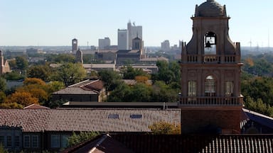 Lubbock que incluye una iglesia o catedral, una ciudad y horizonte