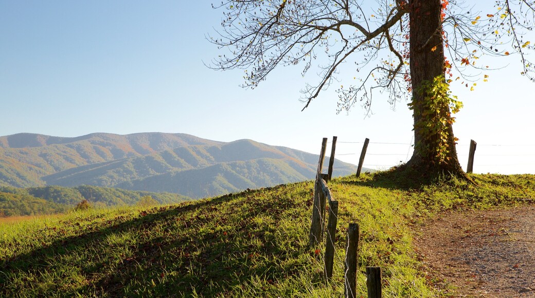 Cades Cove que incluye montañas y situaciones tranquilas