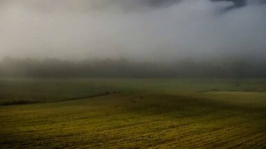 Early morning fog in Cades Cove.