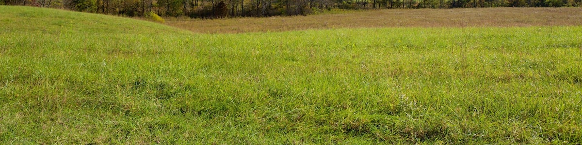 Cades Cove showing mountains and landscape views