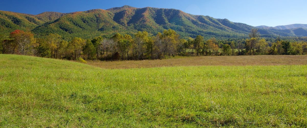 Cades Cove showing mountains and landscape views