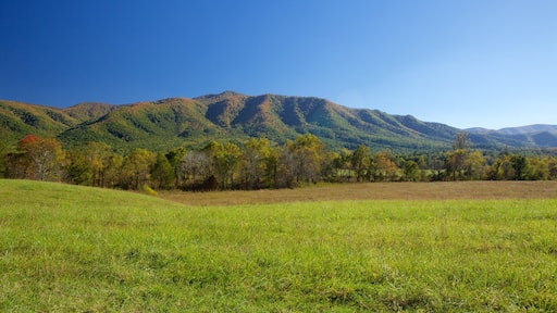 Cades Cove showing mountains and landscape views