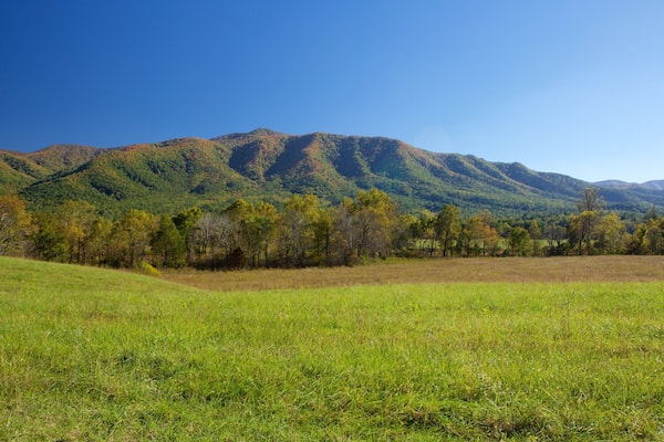 Cades Cove showing mountains and landscape views