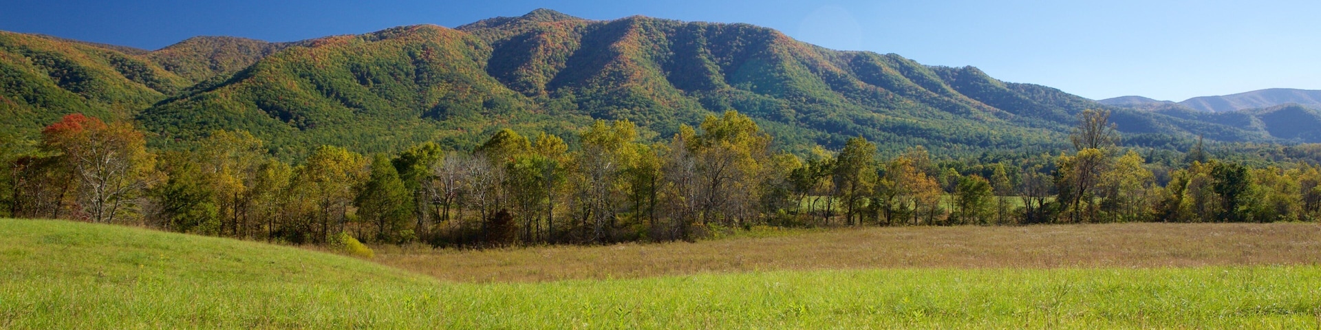 Cades Cove showing mountains and landscape views