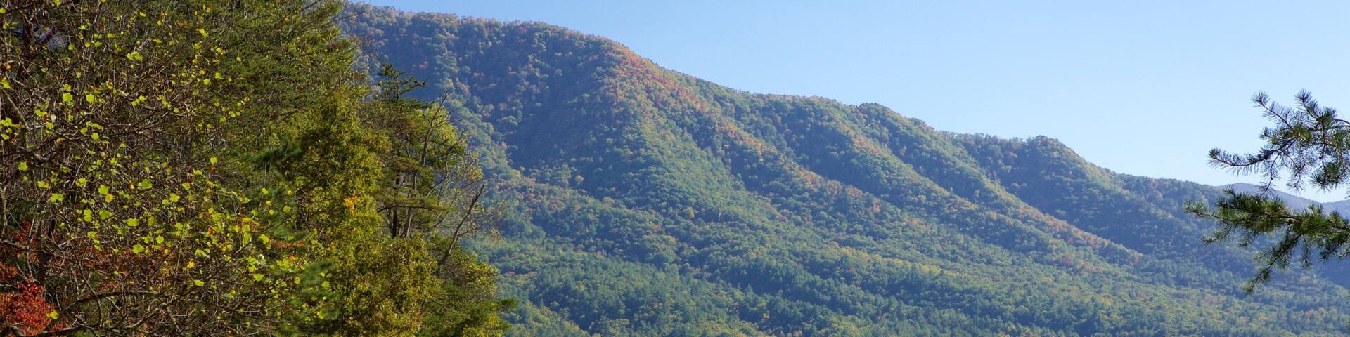 Cades Cove showing mountains and forests as well as a small group of people