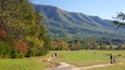 Cades Cove bevat bossen en bergen en ook een klein groepje mensen