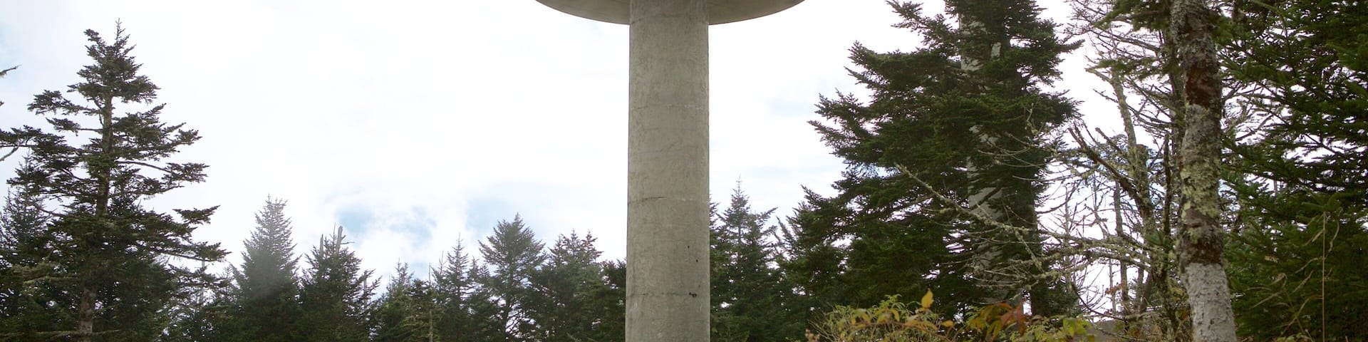 A concrete tower with a circular observation platform, surrounded by dense forest and tall trees.