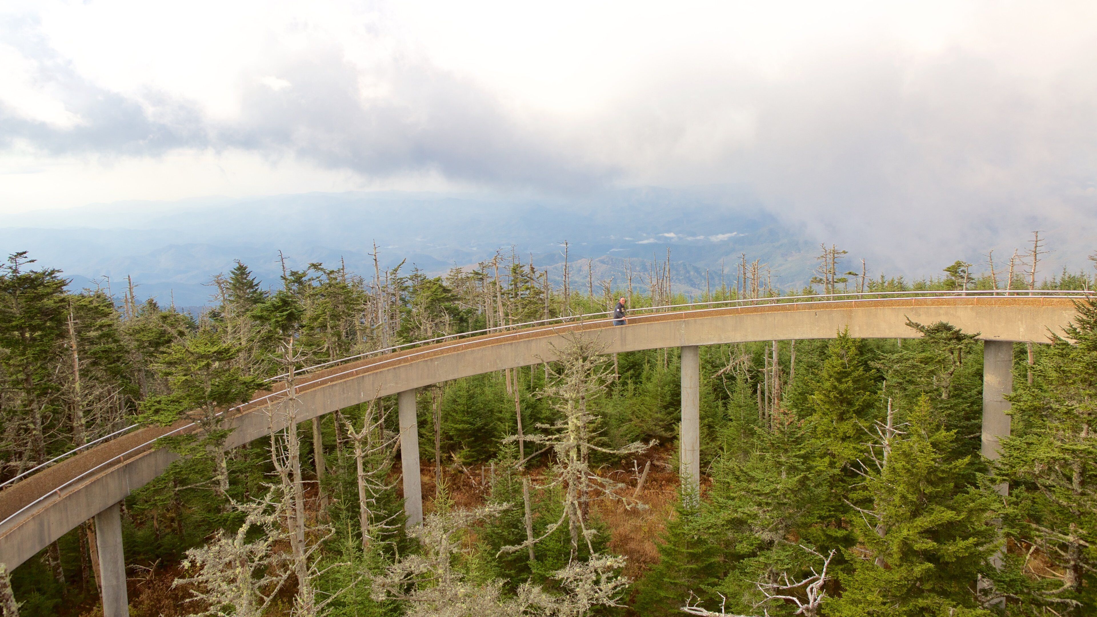 Great Smoky Mountains National Park which includes a bridge and forests