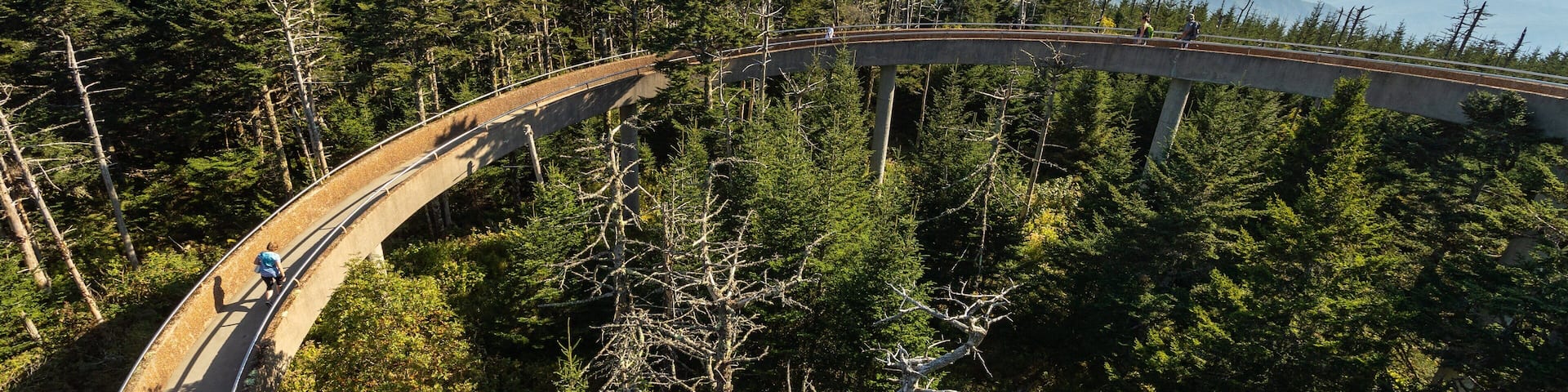 Clingmans Dome