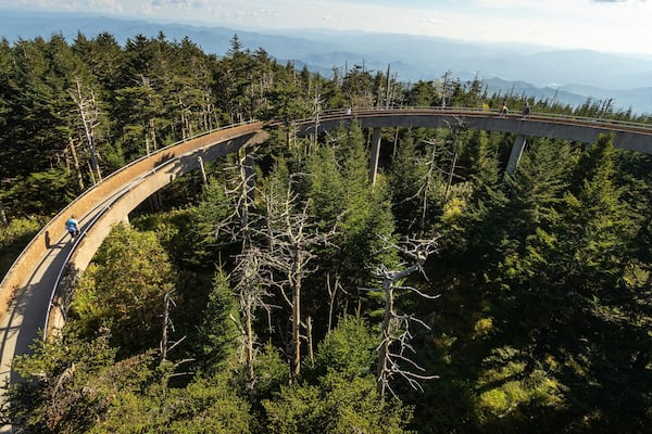 Clingmans Dome