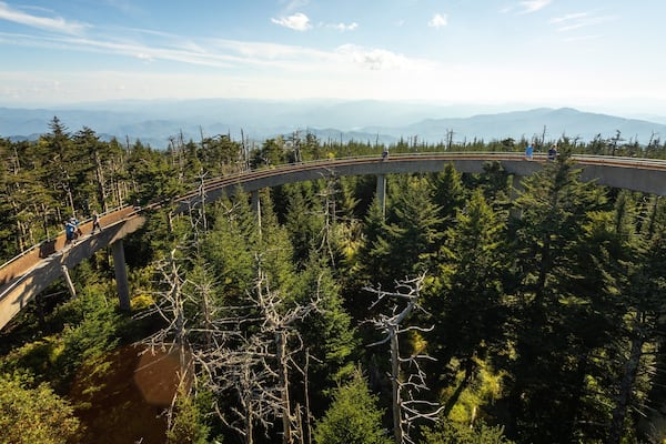 Clingmans Dome