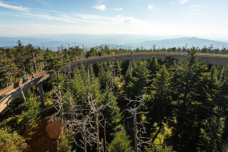 A concrete bridge over a forested area with mountains in the background.