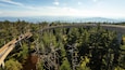 Clingmans Dome