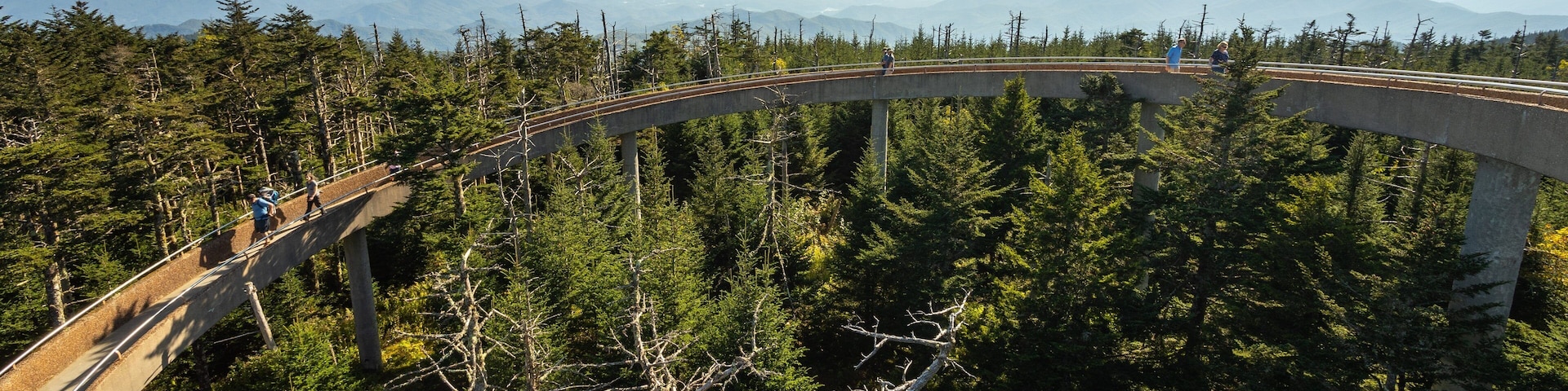 Clingmans Dome