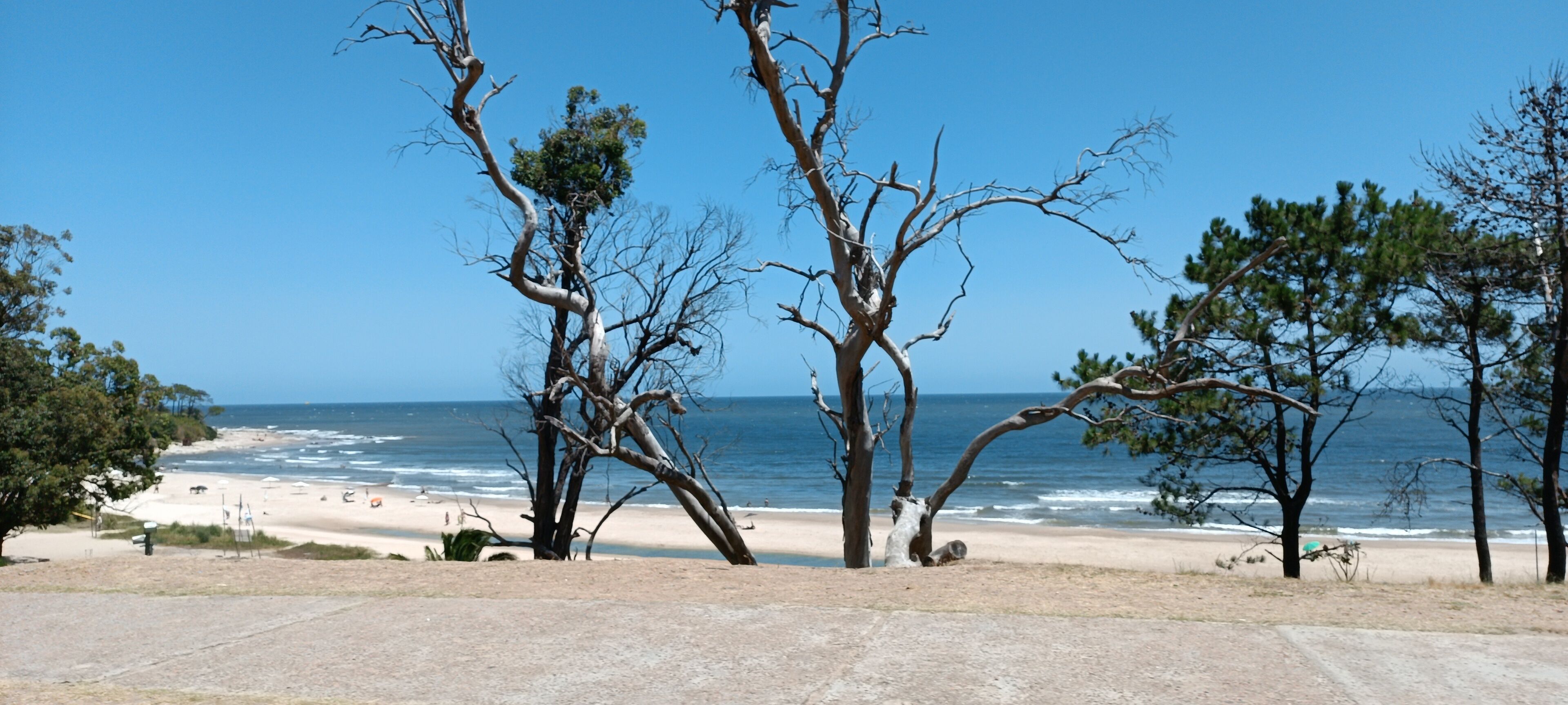 Camino junto a la playa