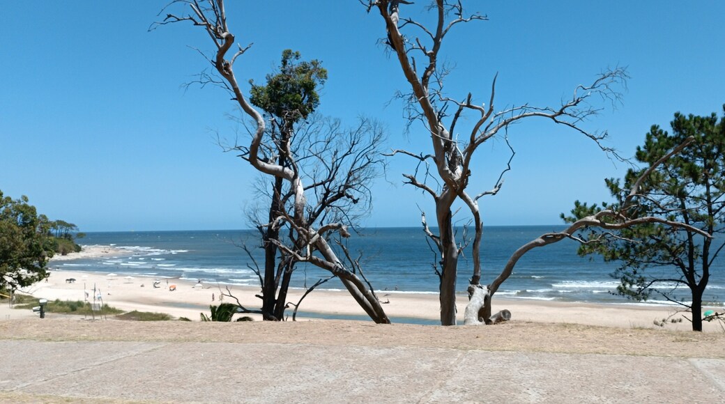 Camino junto a la playa