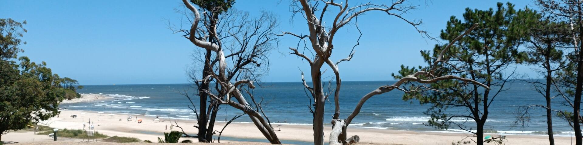 Camino junto a la playa