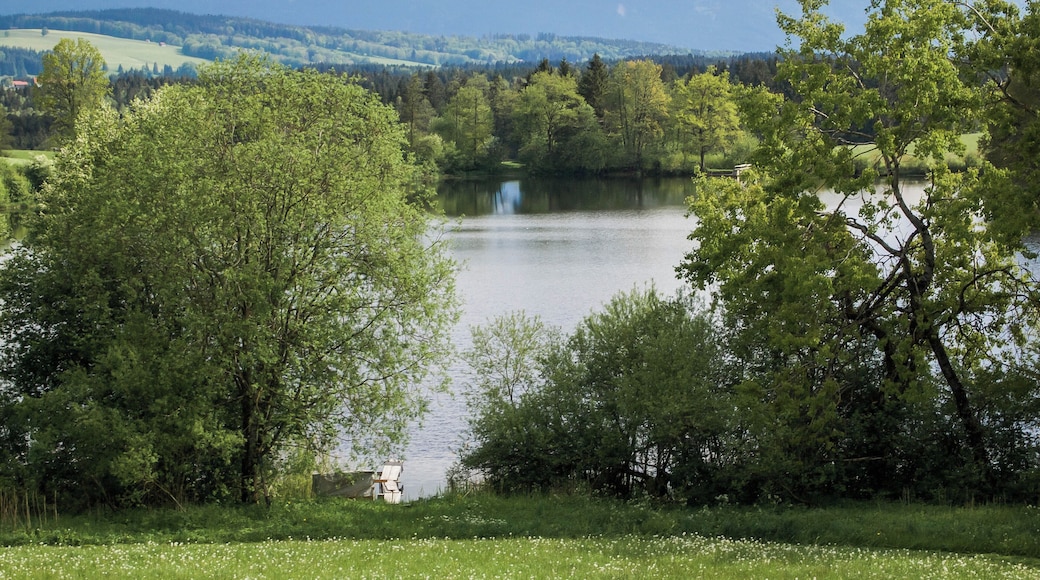 Blick von Norden auf den Gruber See zwischen Peiting und Steingaden, Oberbayern. (LSG:BY-LSG-00023.01)_LSG Langer Filz und Gruber See in den Gemeinden Peiting und Steingaden.