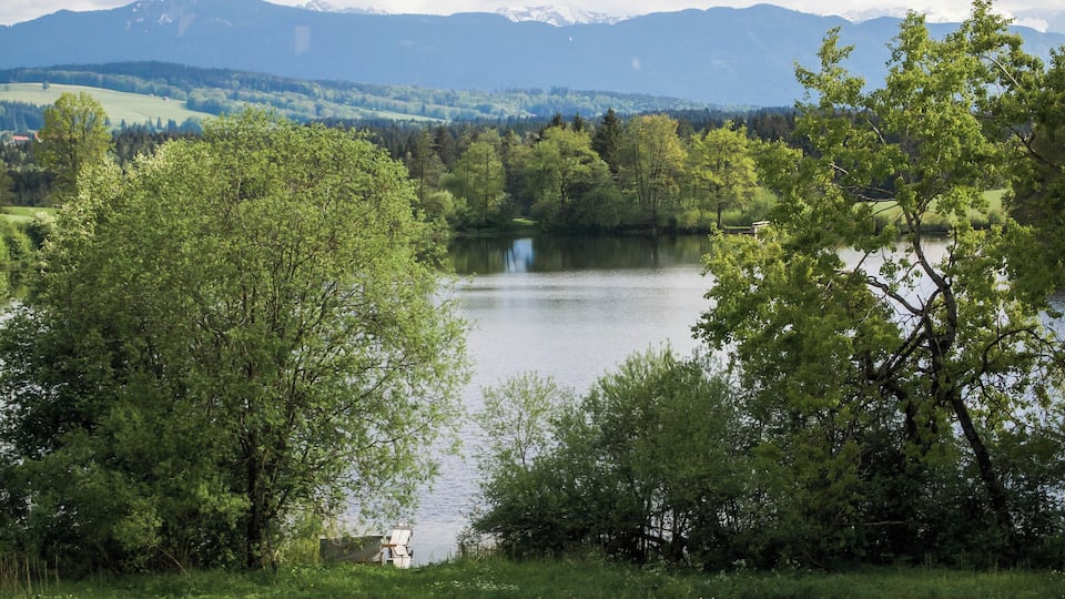 A lake surrounded by lush green trees and mountains in the background.
