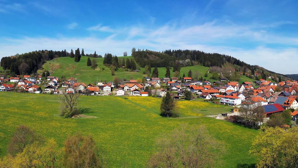 A village with red-roofed houses, green fields, and a hill with trees.