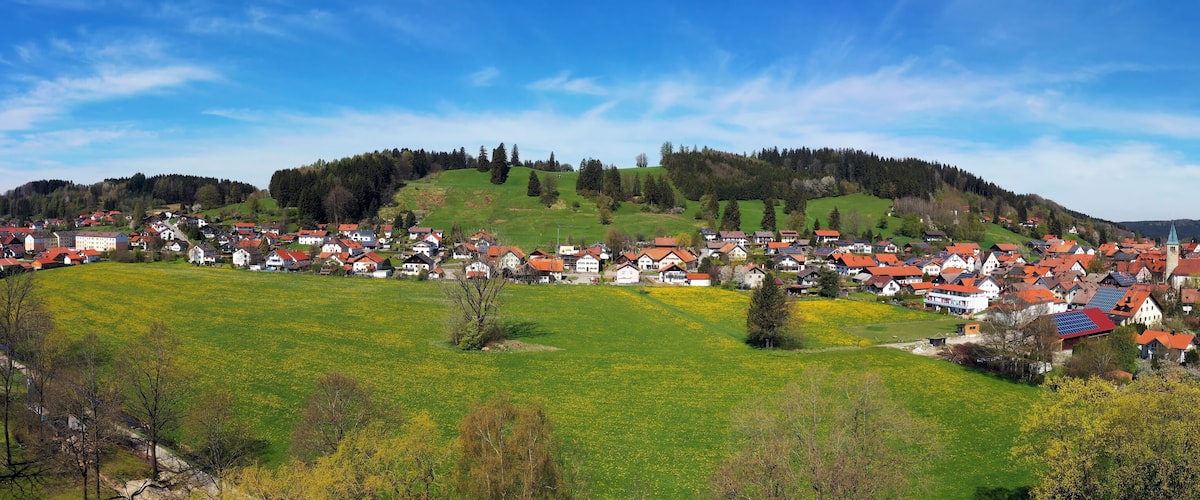 A village with red-roofed houses, green fields, and a hill with trees.