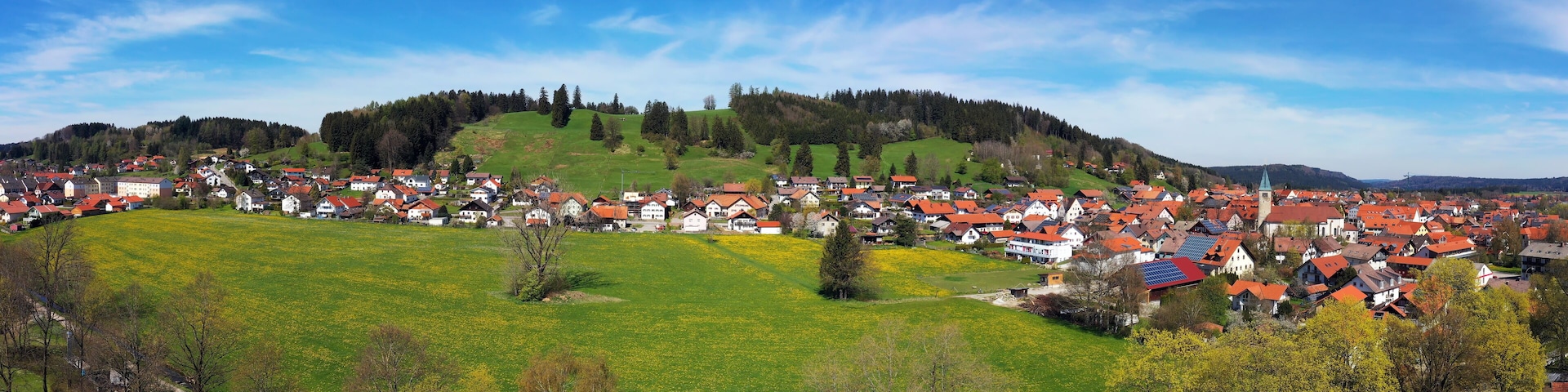 A village with red-roofed houses, green fields, and a hill with trees.